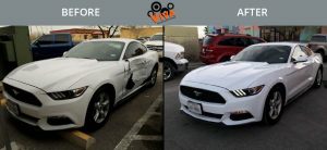 mustang